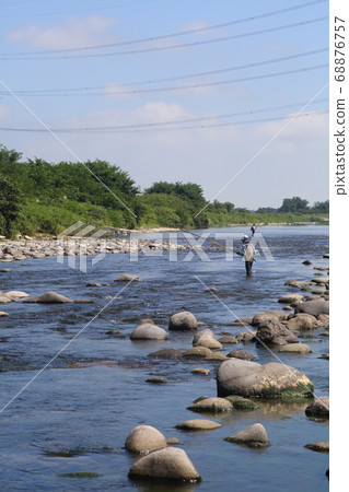 Fishing clear stream sweetfish sweetfish fishing Narusegawa fish 68876757
