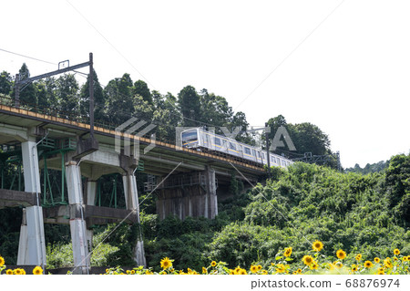 日本千葉縣Oamishirasato的鐵路高架橋和向日葵田 日本千葉縣Oamishirasato的鐵路高架橋和向日葵田 68876974
