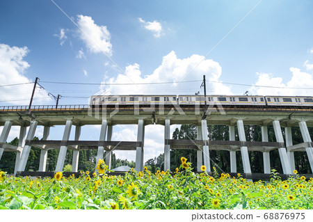 日本千葉縣Oamishirasato的鐵路高架橋和向日葵田 日本千葉縣Oamishirasato的鐵路高架橋和向日葵田 68876975