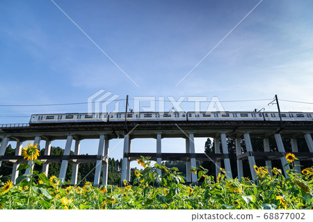 日本千葉縣Oamishirasato的鐵路高架橋和向日葵田 日本千葉縣Oamishirasato的鐵路高架橋和向日葵田 68877002