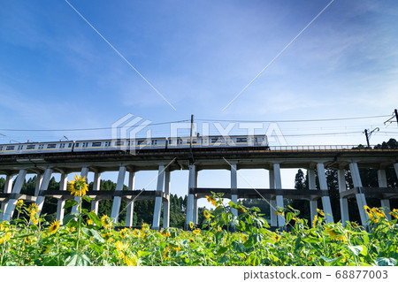 日本千葉縣Oamishirasato的鐵路高架橋和向日葵田 日本千葉縣Oamishirasato的鐵路高架橋和向日葵田 68877003