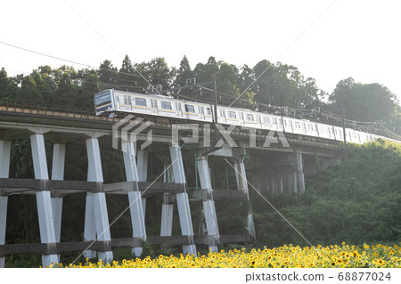 日本千葉縣Oamishirasato的鐵路高架橋和向日葵田 日本千葉縣Oamishirasato的鐵路高架橋和向日葵田 68877024