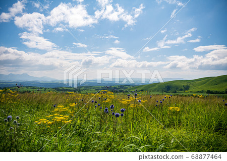 Feel the autumn in Higotai Park, which flutters with Aso in early autumn Feel the autumn in Higotai Park, which flutters with Aso in early autumn 68877464