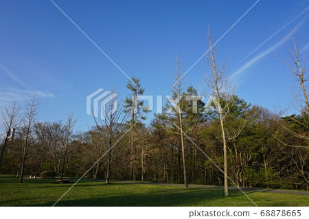 新鮮的綠色輕井澤湯川古鄉公園 68878665