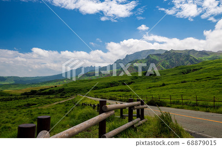Cattle grazing in the wilderness of Aso Cattle grazing in the wilderness of Aso 68879015