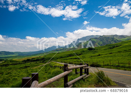 Cattle grazing in the wilderness of Aso Cattle grazing in the wilderness of Aso 68879016