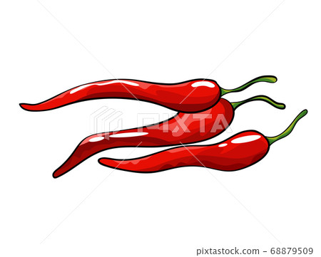 Hand drawn chili pepper. Isolated hot spicy mexican pepper on white background. Natural healthy food. Spicy ingredient Hand drawn chili pepper. Isolated hot spicy mexican pepper on white background. Natural healthy food. Spicy ingredient 68879509