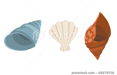 Colorful tropical sea shells underwater icon collection. Marine set cute stickers on the white background. Vector illustration. Perfect for invitations, greeting cards posters banners and flyer Colorful tropical sea shells underwater icon collection. Marine set cute stickers on the white background. Vector illustration. Perfect for invitations, greeting cards posters banners and flyer 68879556
