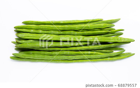 Moringa oleifera isolated on white background. Moringa oleifera isolated on white background. 68879557