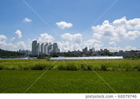 京畿道始興市厚木 68879746