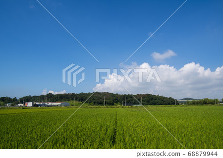 Hojobeol, Siheung-si, Gyeonggi-do 68879944