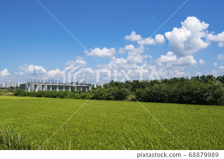 京畿道始興市厚木 68879989