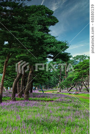 柏樹區前門洞 68880139