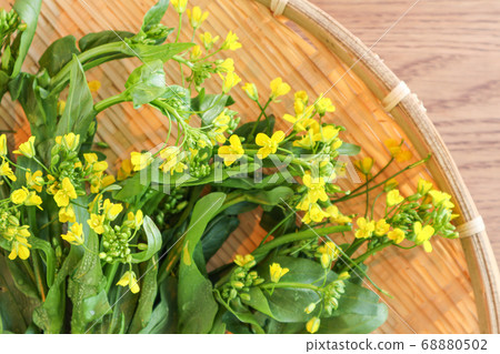 蘆筍蔬菜 蘆筍蔬菜 68880502