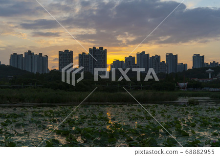 Hwarang Lake, Ansan, Gyeonggi-do 68882955