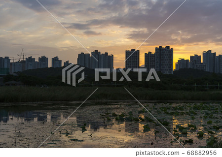 Hwarang Lake, Ansan, Gyeonggi-do Hwarang Lake, Ansan, Gyeonggi-do 68882956