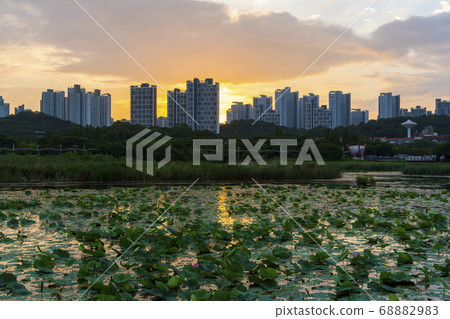京畿道安山市華郎湖 京畿道安山市華郎湖 68882983