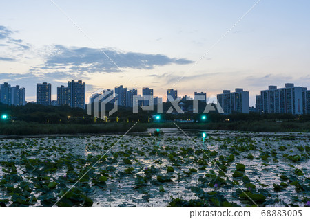 京畿道安山市華郎湖 京畿道安山市華郎湖 68883005