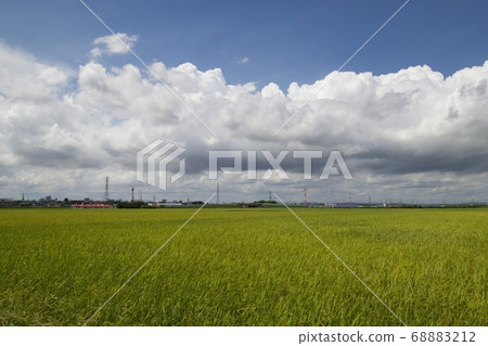 Inasaku, Hitachinaka City, Ibaraki Prefecture 68883212