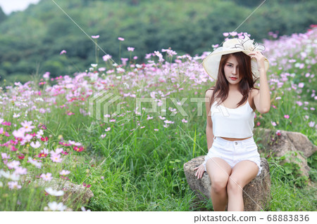 cute and beautiful asian girl sitting in nature outdoors among cosmos flowers field with hat cute and beautiful asian girl sitting in nature outdoors among cosmos flowers field with hat 68883836