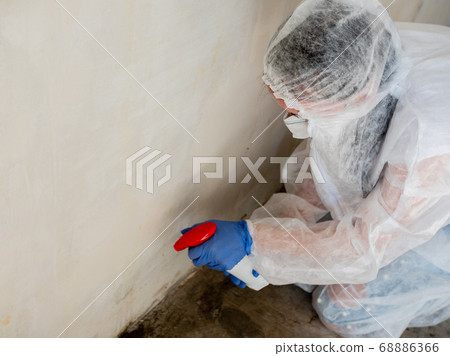 A woman in a protective suit sprays the walls of an apartment with a chemical agent to remove mold. 68886366
