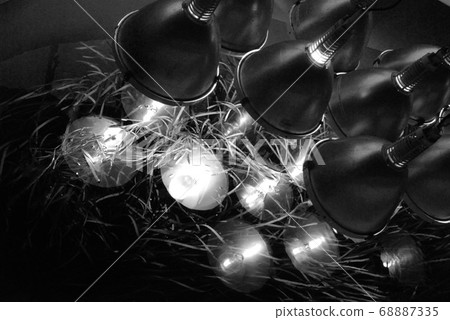 Lighting equipment that illuminates the aquarium Lighting equipment that illuminates the aquarium 68887335