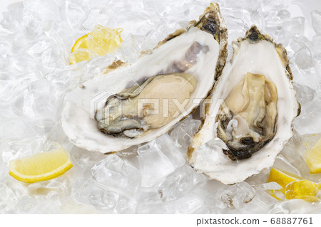 Raw oysters in a shell on ice Raw oysters in a shell on ice 68887761