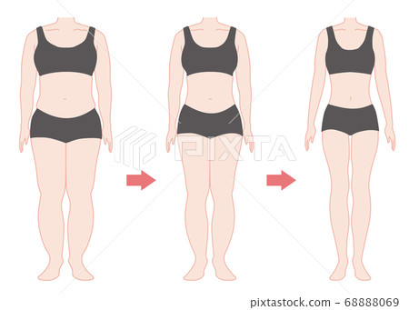 Diet progress whole body color 68888069