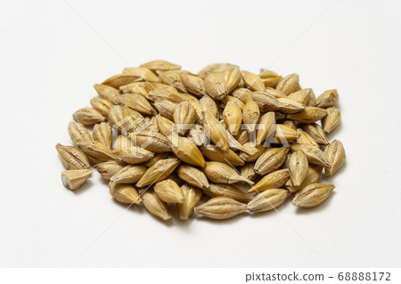 Natural dry barley malt on white background. Natural dry barley malt on white background. 68888172