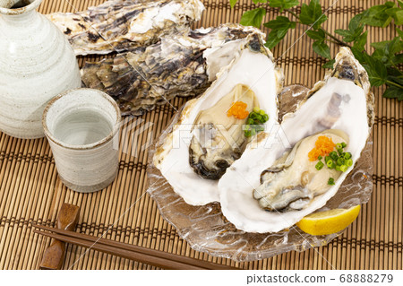 Raw oysters on the shell 68888279