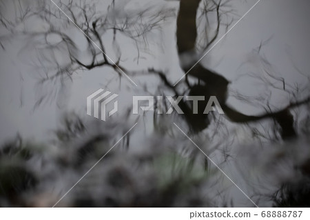 雨水坑 雨水坑 68888787