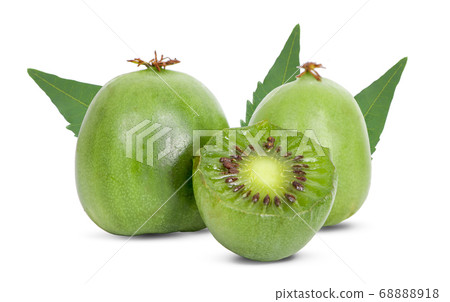 mini kiwi baby fruit on white background 68888918