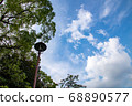 Street lamp looking up 68890577