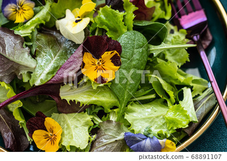 Spring salad with arugula, herbs and flowers. Spring salad with arugula, herbs and flowers. 68891107