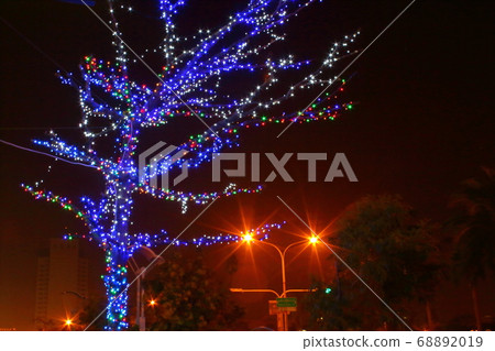 Street tree 68892019