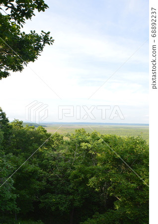Kushiro Marsh (Kushiro Marsh Observatory / Hokuto, Kushiro City, Hokkaido) 68892237