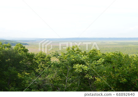 Kushiro Marsh (Kushiro Marsh Observatory / Hokuto, Kushiro City, Hokkaido) 68892640