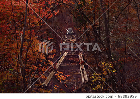 西澤谷和秋天廢棄的吊橋 西澤谷和秋天廢棄的吊橋 68892959