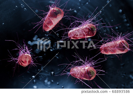 E.Coli Bacteria Cells 68893586