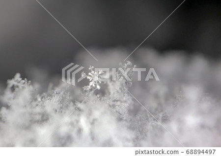 snowflake on snow a macro as background 68894497