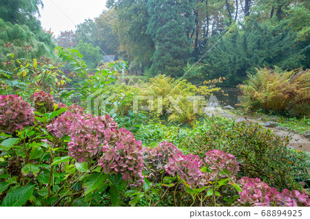 Amazing japanese garden in Leverkusen at autumn Amazing japanese garden in Leverkusen at autumn 68894925
