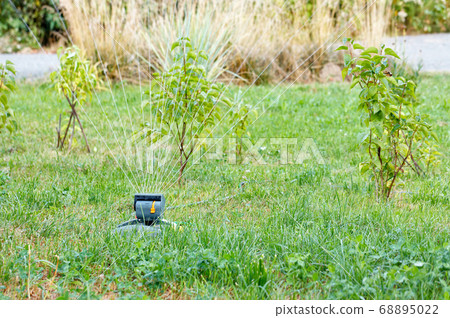 A sprayer waters the young garden trees and dry A sprayer waters the young garden trees and dry 68895022