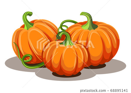 Pumpkins with leaves isolated on white background - Stock Illustration ...