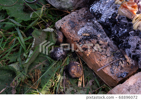 Baking potatoes in the hot coals 68896072