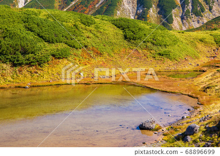 初秋的立山黑部阿爾卑斯山脈路線，秋葉室戶平，禦堂池池 68896699