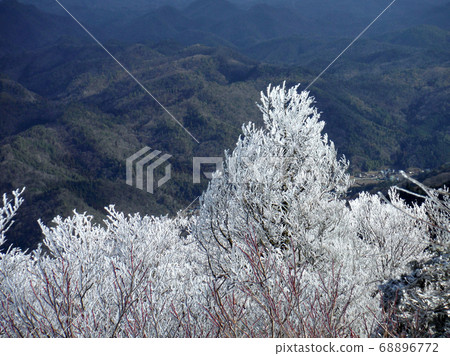Frost ice Taki Mountains (Tamba Sasayama City, Hyogo Prefecture) 68896772