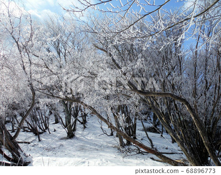 Frost ice Taki Mountains (Tamba Sasayama City, Hyogo Prefecture) Frost ice Taki Mountains (Tamba Sasayama City, Hyogo Prefecture) 68896773