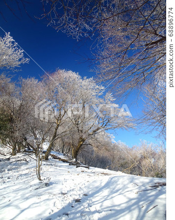 Frost ice Taki Mountains (Tamba Sasayama City, Hyogo Prefecture) 68896774