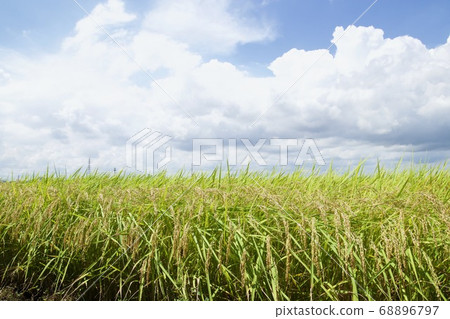 茨城縣Inasaku Hitachinaka市 茨城縣Inasaku Hitachinaka市 68896797