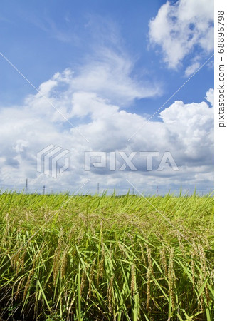 茨城縣Inasaku Hitachinaka市 茨城縣Inasaku Hitachinaka市 68896798